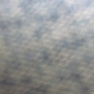 Meet your Posher, Roxana